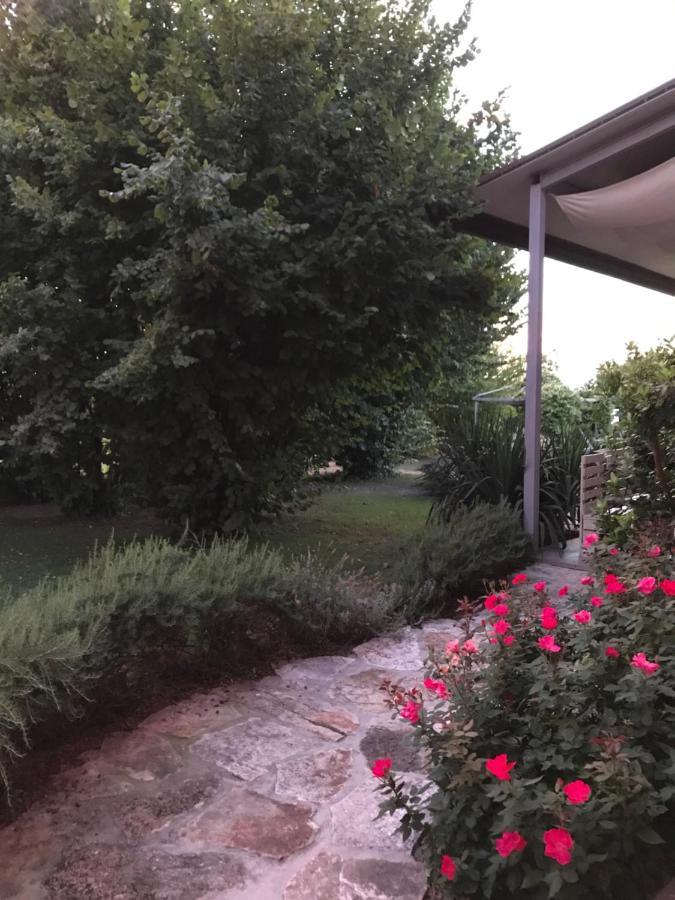 Ca' Borgo Delle Rane Hotel Pernumia ภายนอก รูปภาพ